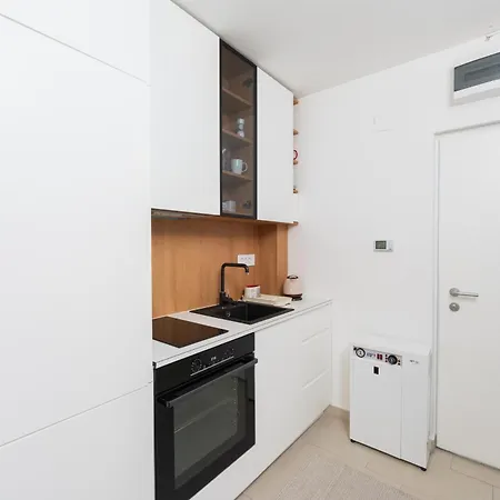 Comanda Luxury Apartment *